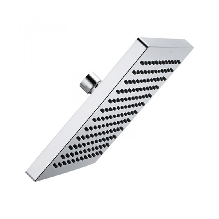 DFISH11006